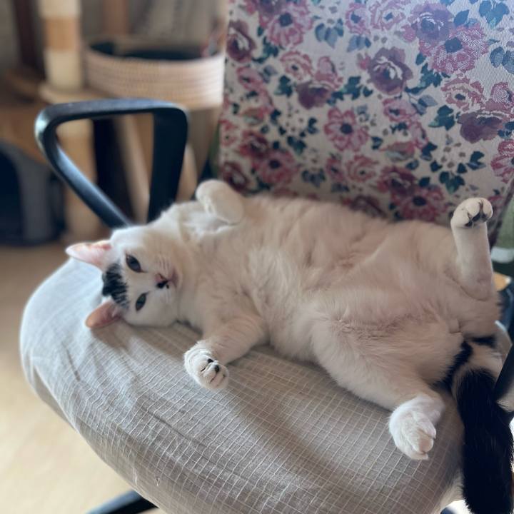 07f94c09 114c 4991 b932 54919f565e21 1768621444379