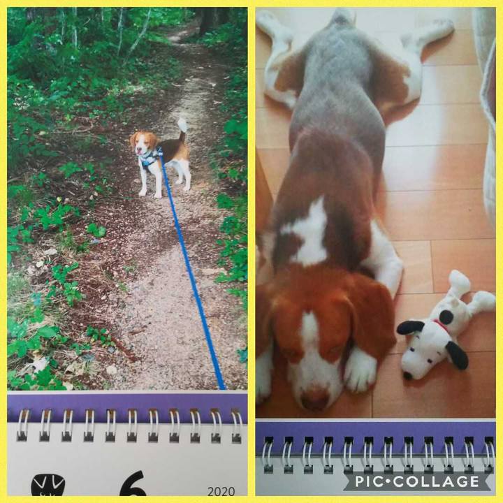 07f960ed e67c 47aa 9a12 192d80ddb08a 1591068049429