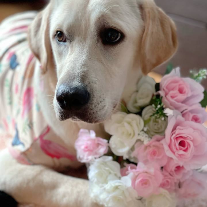 07f97b0c aa85 4aad 883c f79167a87875 1625300444992