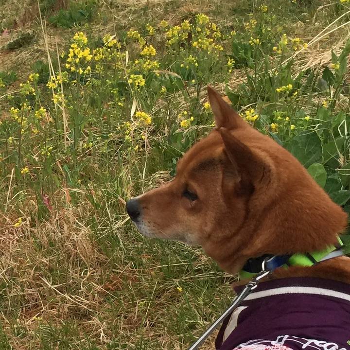 07f99d87 f3c3 4d1e b86b 6c1247432d90 1520202147534