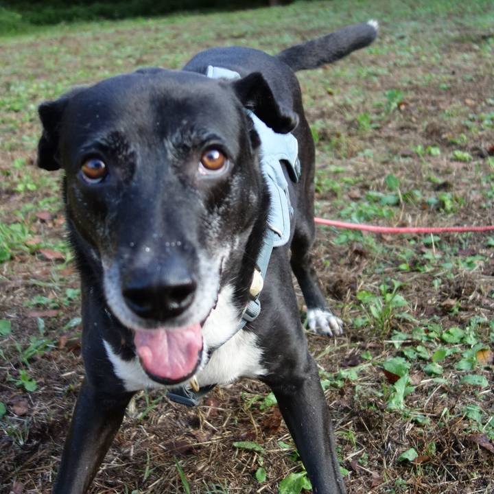 07f9d620 695b 42d9 bded 938cb78c110e 1730680316352