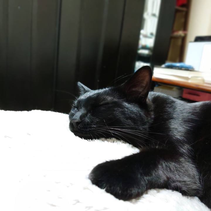 07f9e3d5 8b3d 406f aa41 b43cee6d7dec 1552403322575