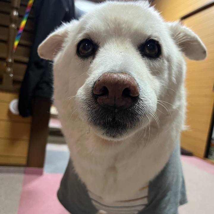 07f9f5aa e295 41ba ac09 dda865e15f85 1764288584580