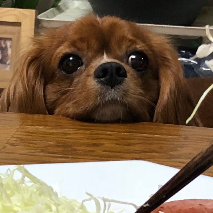 07fa3b01 5d11 4d4a 9891 d692e20be3b3 1532615729582