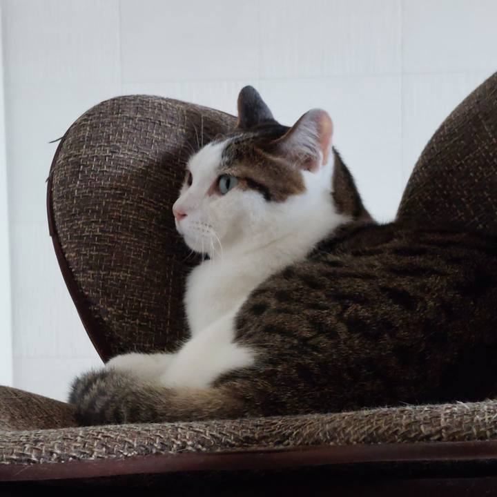 07fa8a1c 7b75 4032 b0fe 60628500de75 1689461306138