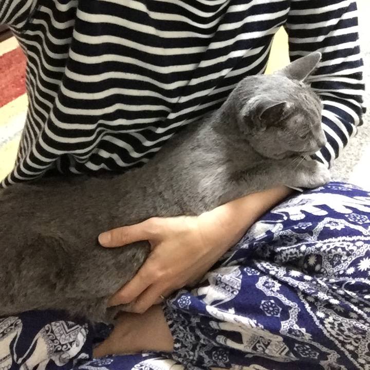 07fad6c3 2e34 4f47 96e5 9a6e63020bb7 1540249884291