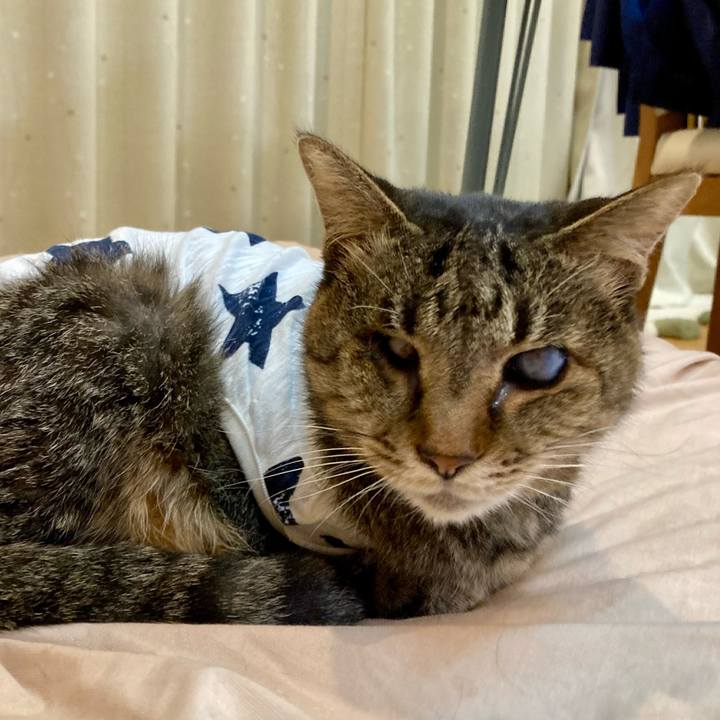 07fb0f06 9466 47be a1d8 06a84ffe15df 1682414898053