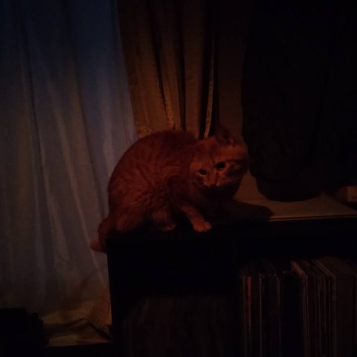 07fb5e02 23a5 48c3 9da9 db2396714dea 1675896474324