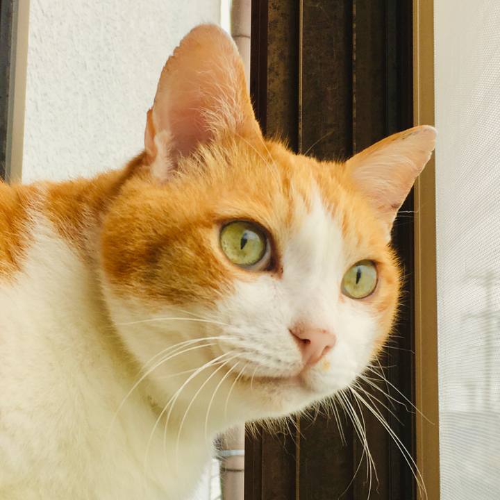 07fba4b7 ddd9 4663 bb99 c941c5988bb5 1562471395009