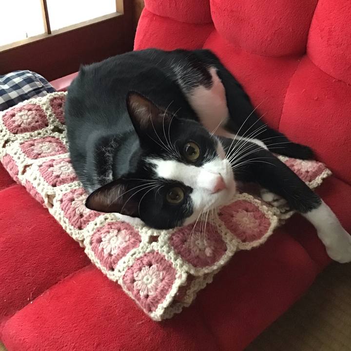 07fbda04 5459 4e76 8a72 2c81ff3896e7 1656758220316