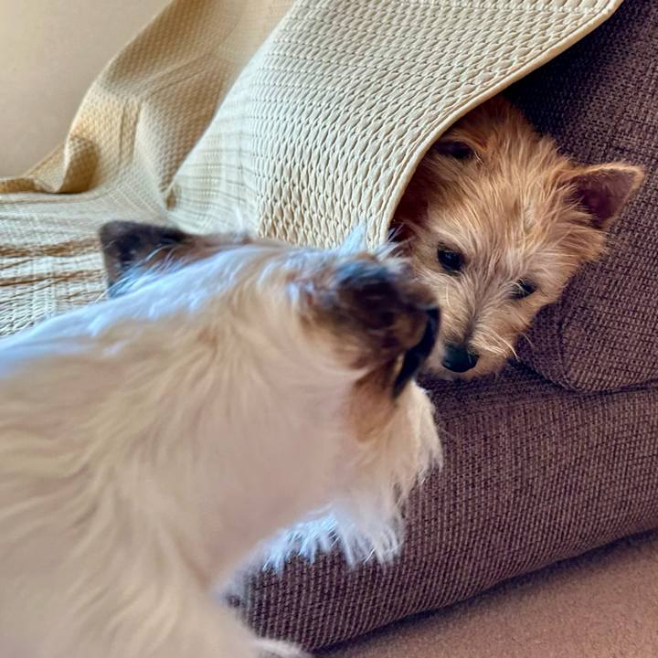 07fbda5b 790a 4f33 b626 4882b7479453 1708812482211