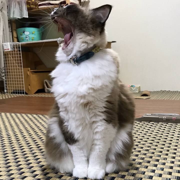 07fc3d10 d212 4f52 a851 75c0d12d14c2 1514294601230