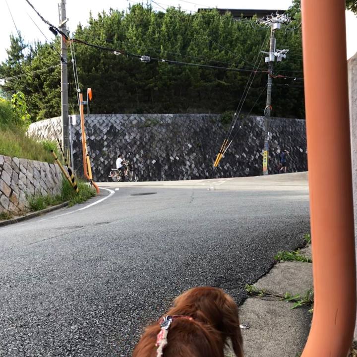 07fc494d eddf 4d42 b10d 1c56b1fd3a92 1560810350112