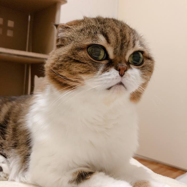 07fc5f6e 9321 4cc2 bda2 47c402337f33 1602529217466