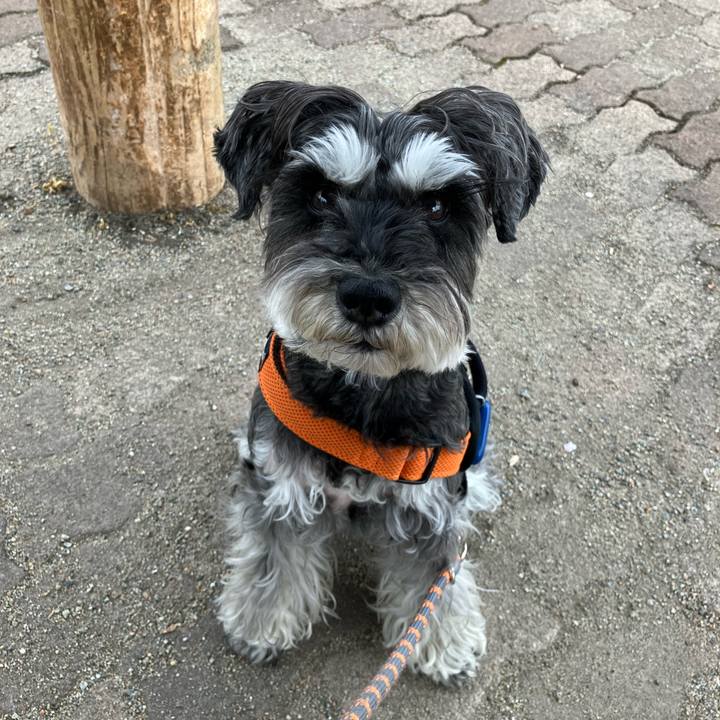 07fc76d1 3460 4ba0 b980 144e41fcbcc9 1745113955914