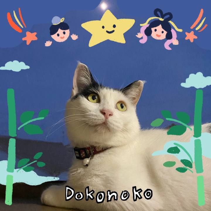 07fc892e b885 46b5 8402 7281da348a5d 1720937185896