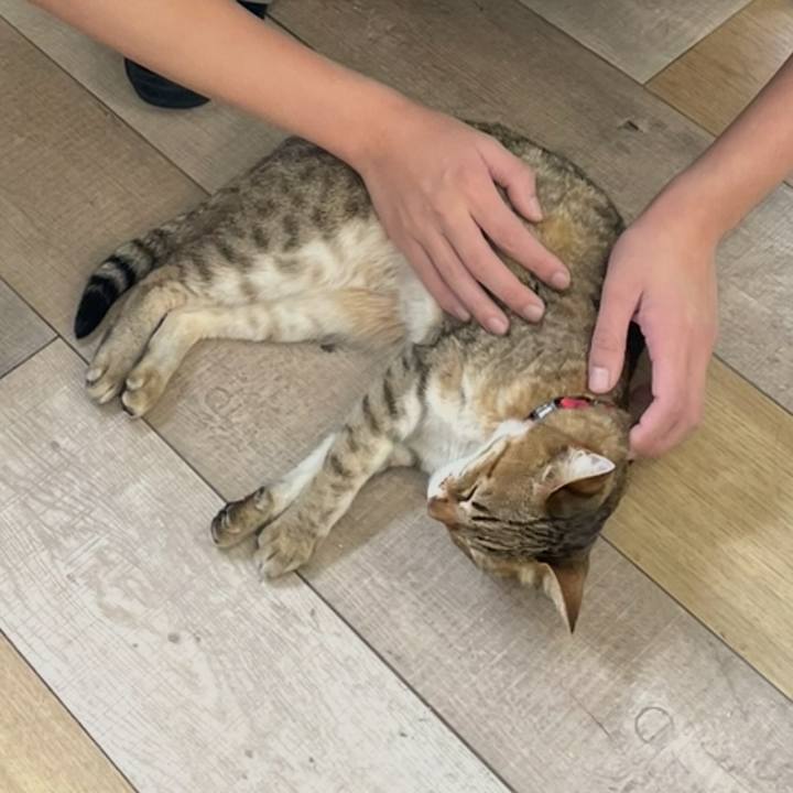 07fc8b1e d620 4b49 bae7 fb414420df05 1749976843190