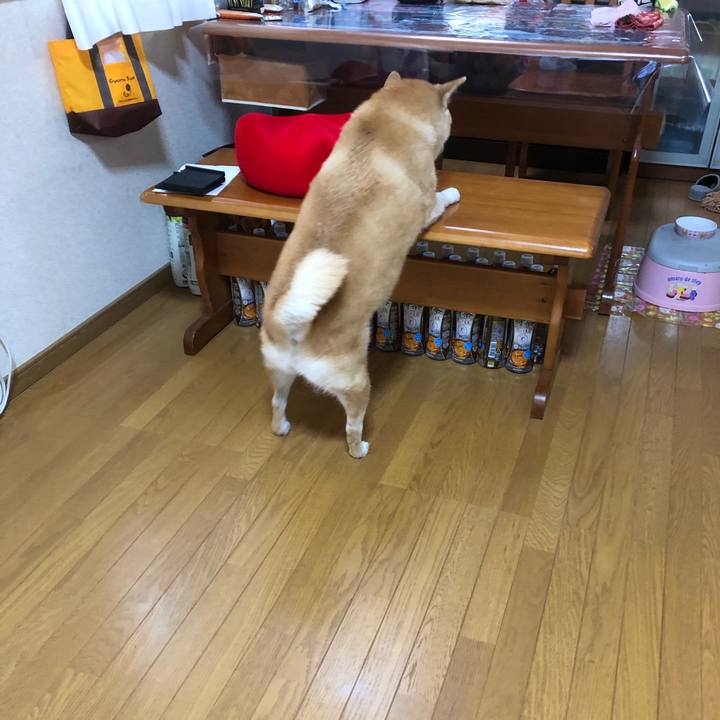 07fd3685 ad6c 42b2 970f 6b49c3b81c83 1561332015253