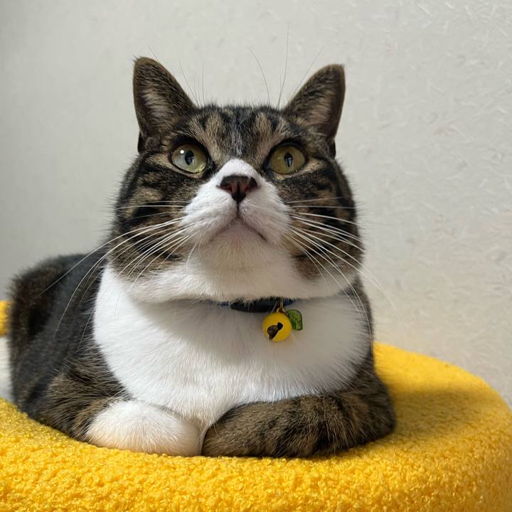 07fd72e1 3468 4cca a235 d6dca45df99f 1762042498451