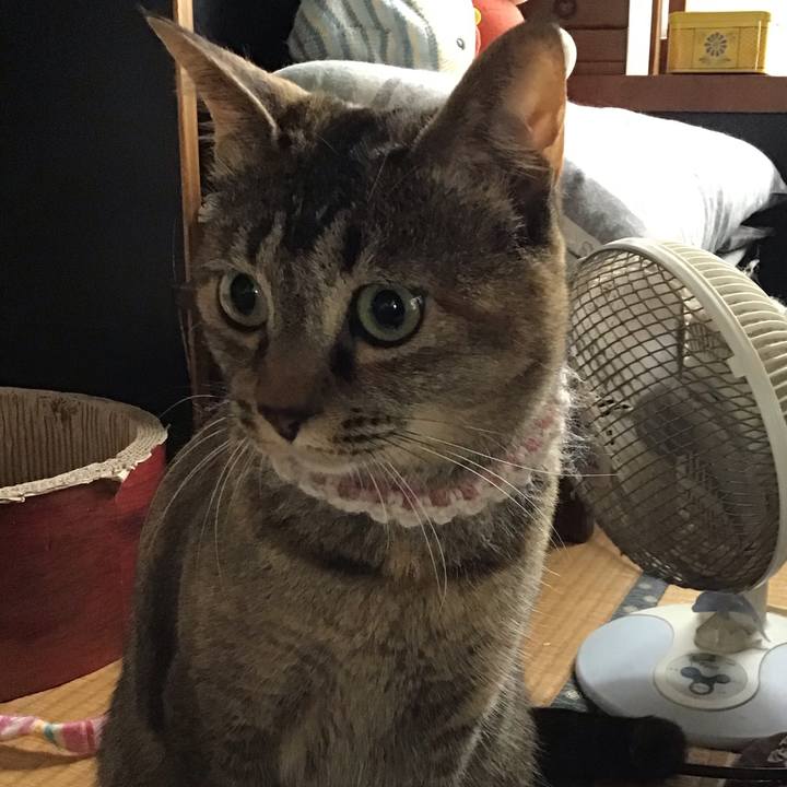 07fd7530 244d 492a a079 eea781fb8b35 1653895625190