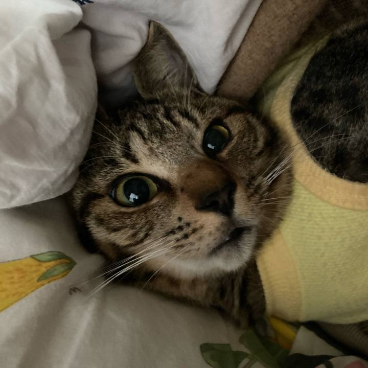 07fd7d8c 90c7 4576 a9a2 4093bdd49732 1670109030449