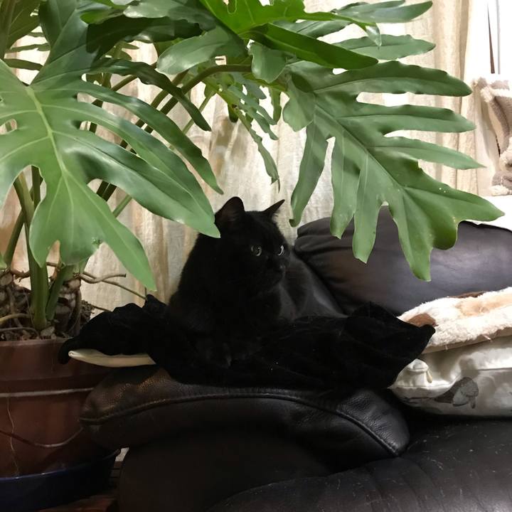 07fd9d3f 539d 4aef 88eb d0c4a0546a23 1581601438512