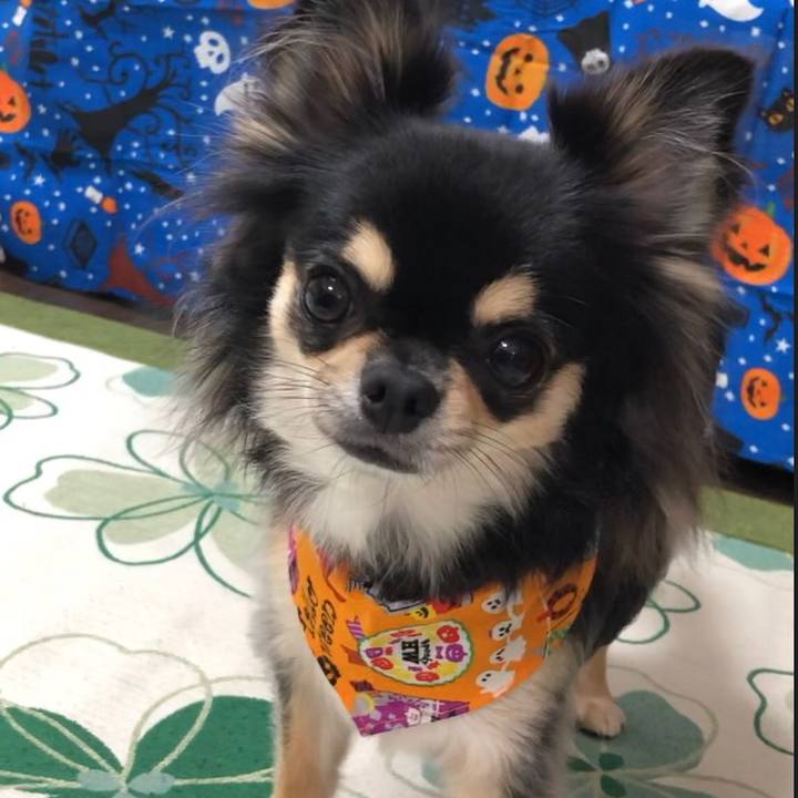 07fe1ff4 61b7 43c9 9018 b6da86722c48 1570768799777