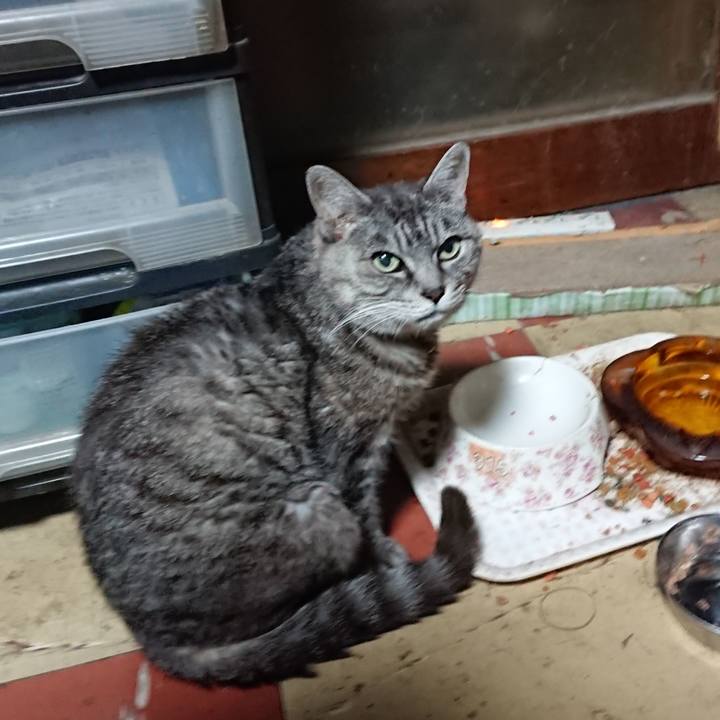 07fe2e84 606c 4aa0 bb8c 8123809a9c45 1570737230427