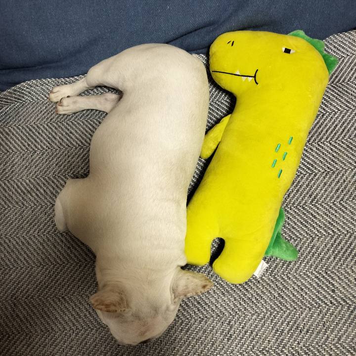 07fe35cd 7b79 4169 88ae 4289dc9926c7 1683500478499