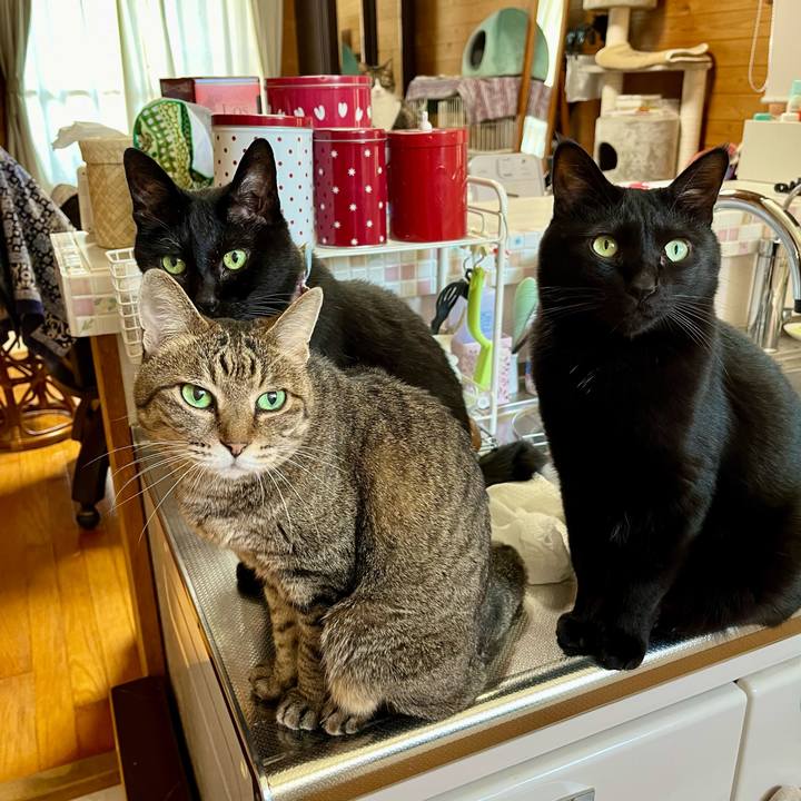 07fe3c42 acef 4902 903a 56ee0fb4f6fc 1724138509536