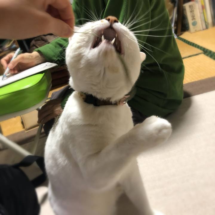 07fe5180 be95 41bb 8152 485427121b95 1521727876164