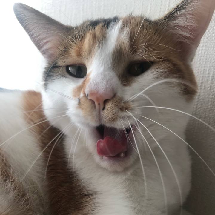 07fe768d ecf1 41cc 96b5 4ccb83427bcd 1583562317160