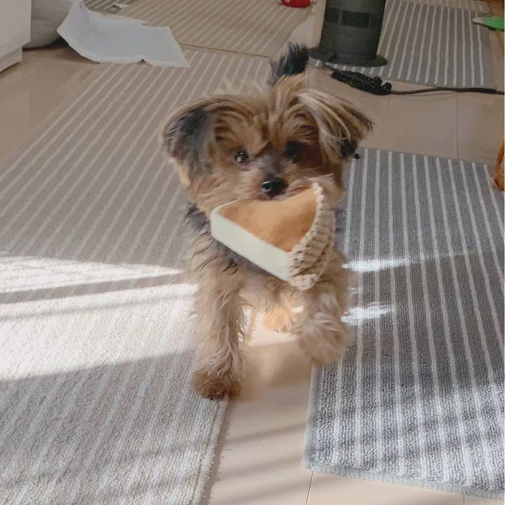 07fe7cdf 2c4d 4e1f 88d6 2e7a6c10ad27 1612051547440