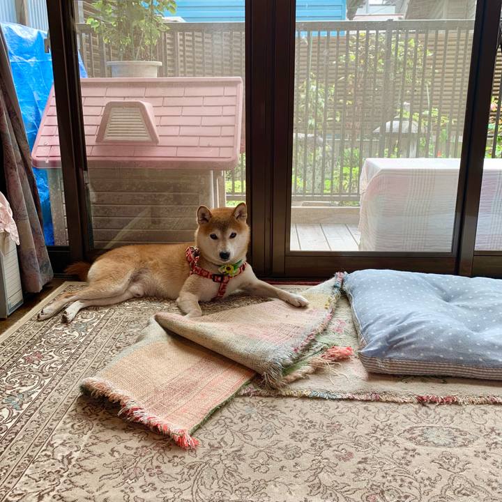 07febb21 3f95 4220 bba9 3f9fa01afe79 1629361726268