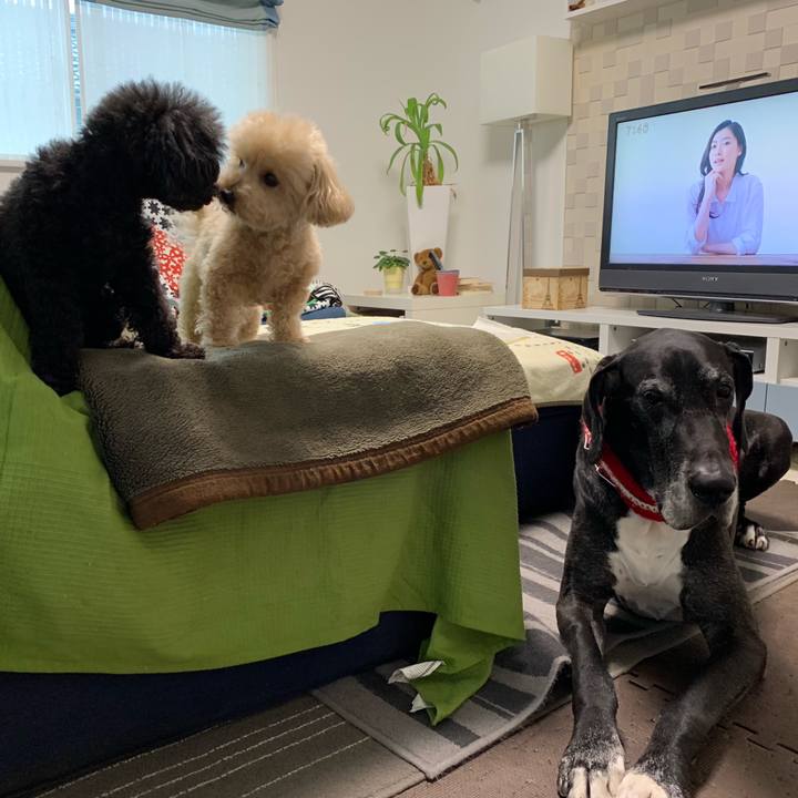 07fec381 6fa1 498b 9884 05d85d286461 1551912693917