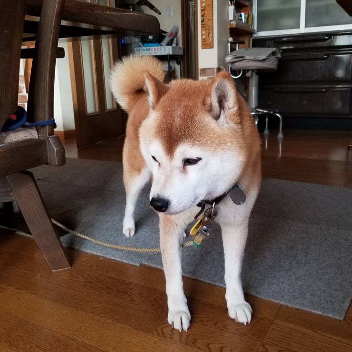 07fec65c 06c9 41a9 ac00 0e3c369cd3ae 1639442039054