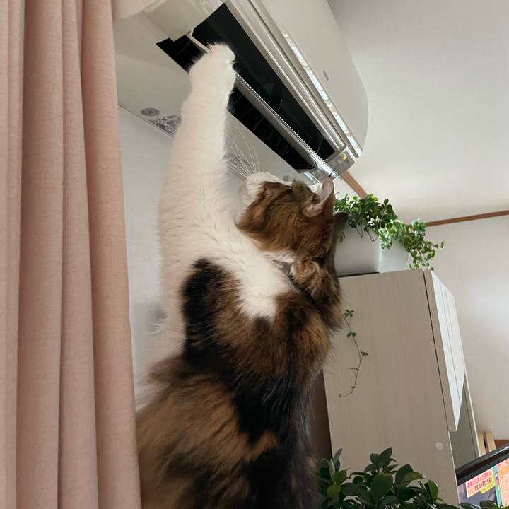 07fed04f 690f 4602 be5c 0d1aea47113c 1656452354976