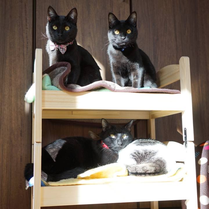 07fed081 3810 4bf1 9bed 9591222bc457 1515325168467