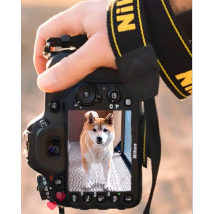 07fef66a 0c29 4e35 aaa8 90d8e29415fa 1708402787636