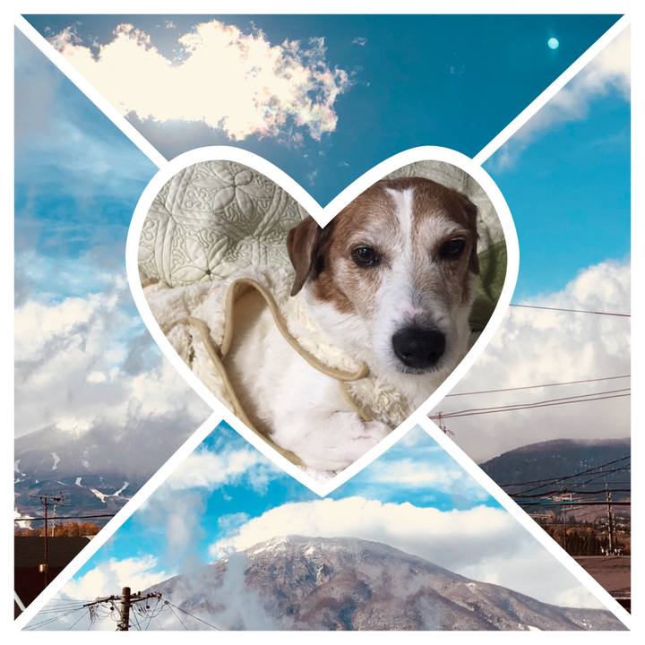 07ff41b4 8586 4fcf 9478 4f1812c1b729 1511404321065