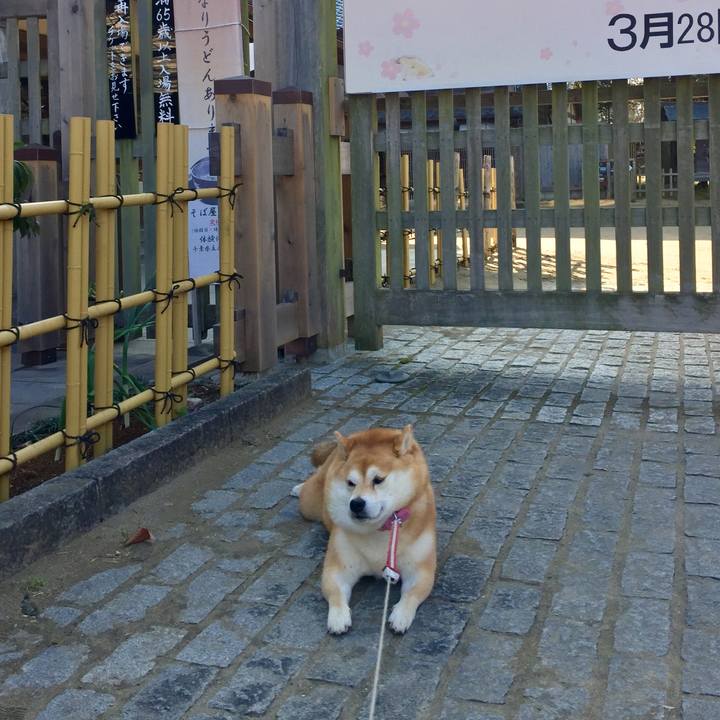 07ff61f7 6fb3 4215 91d7 f3b0ba336039 1582517069839