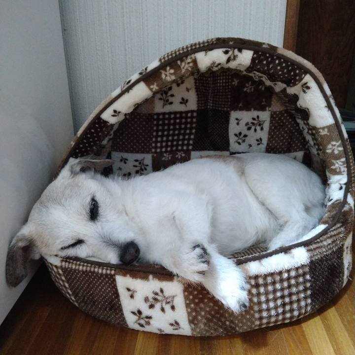 07ffa03f 37bc 419f a157 1db58c7e2809 1716638931578