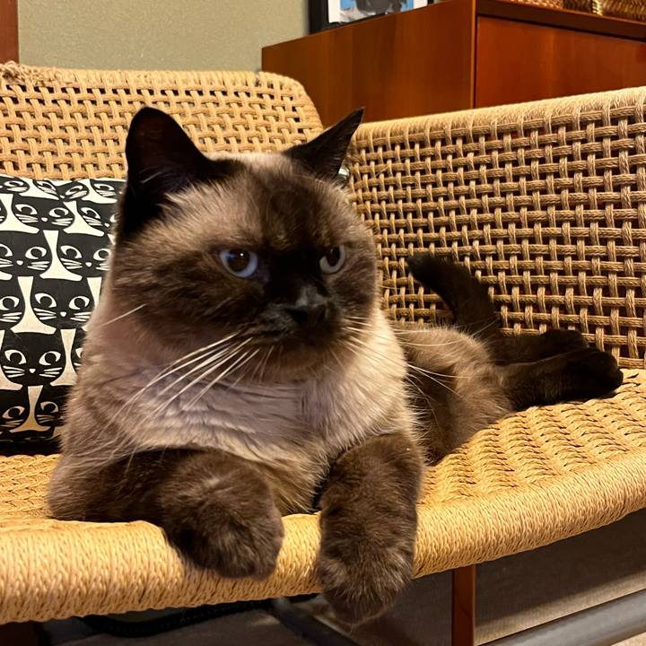 07ffb031 a5c0 4297 9633 eadd24b8b3d7 1726452061014