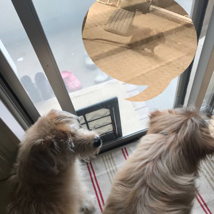 07ffd0e4 231f 4a6e a534 e22e4bf5a992 1590022764514