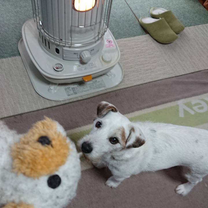 07ffdd53 b247 4d92 a137 23f63e19c9de 1578612434839