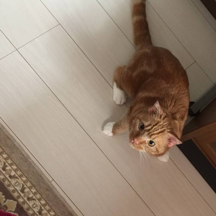 07fff87a ae7f 42e2 bac7 2d801a02b771 1527391026338