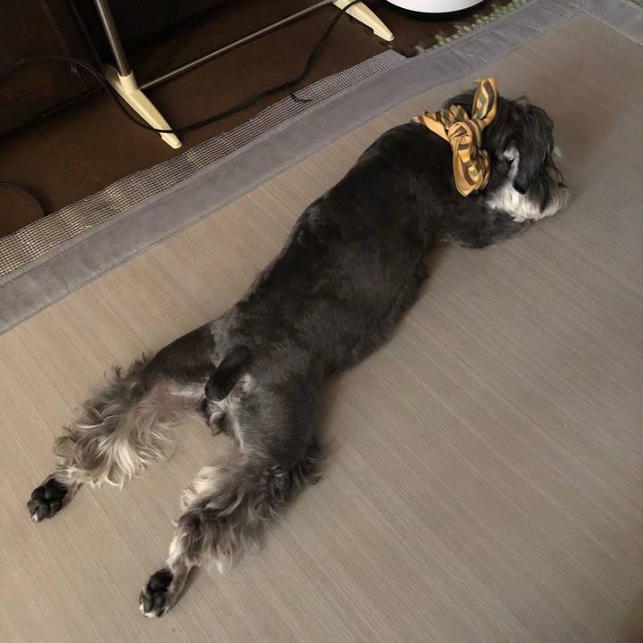 08008a0e 4829 4661 8ef3 b56d663c1d86 1627798959249