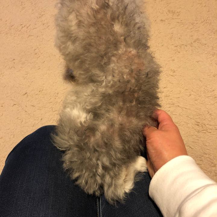 08008db0 e320 4ab3 8de2 b91b935b5ebb 1613391023231