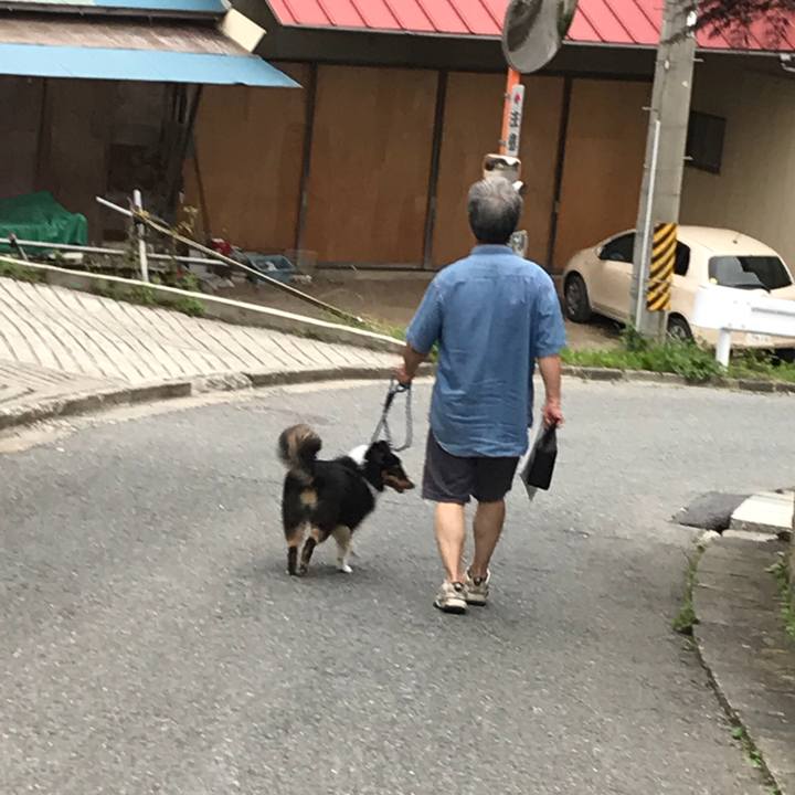 080091d4 7ec4 45d8 bb1a 33e8cb95db67 1531773481546