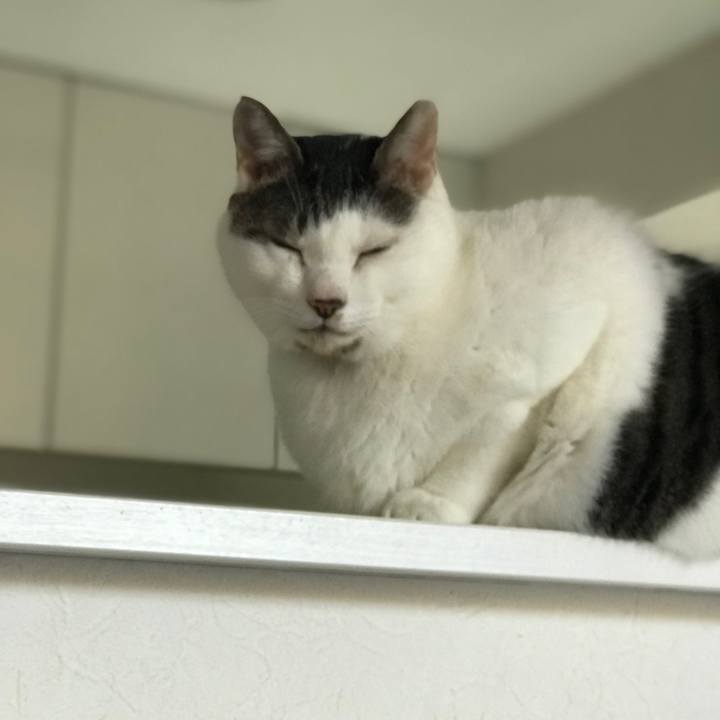 0800b1ff 86be 4afa 8731 28f1388abcfd 1543618923611